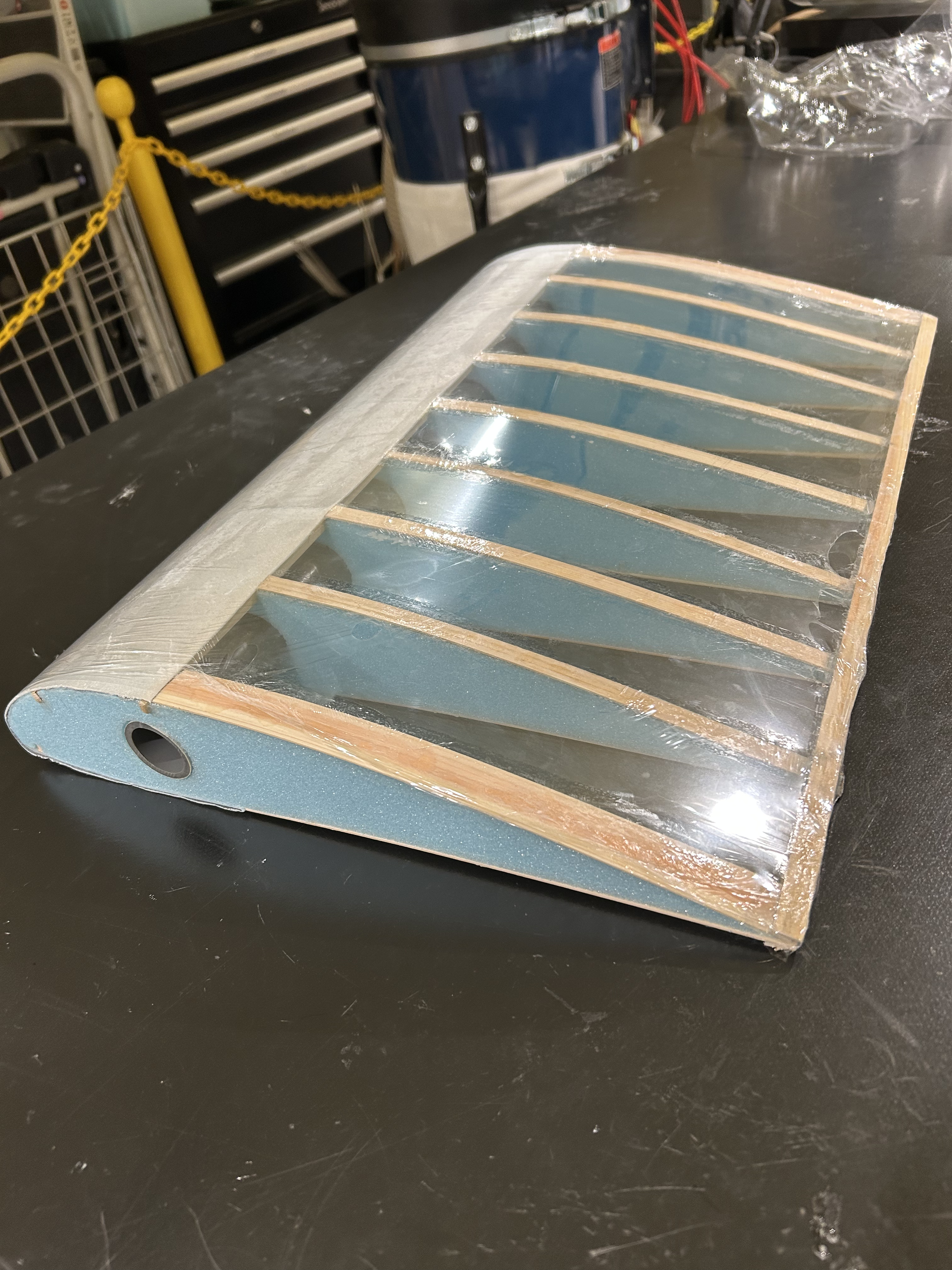 翼構造(外皮あり)