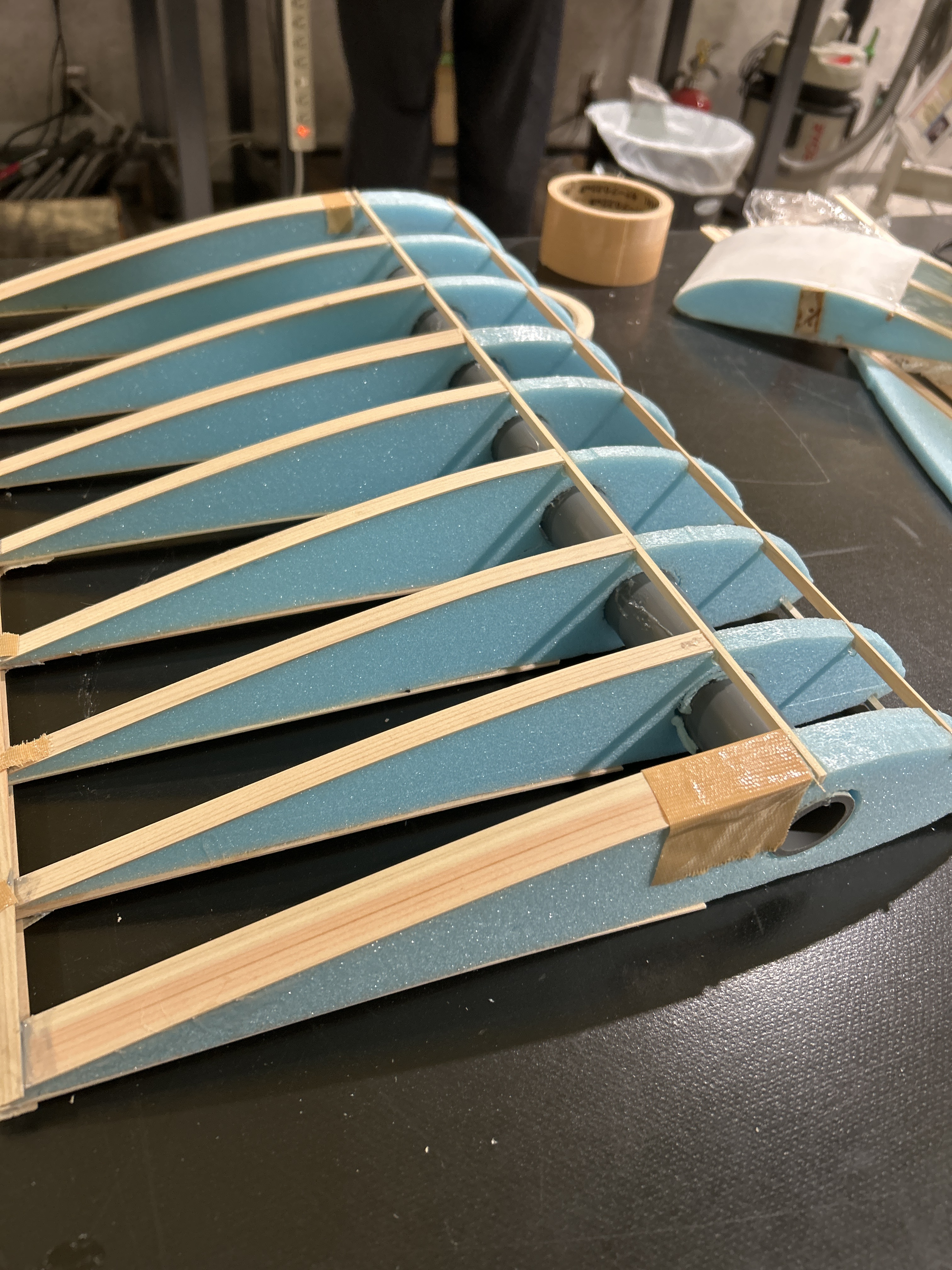 翼構造(骨組みのみ)